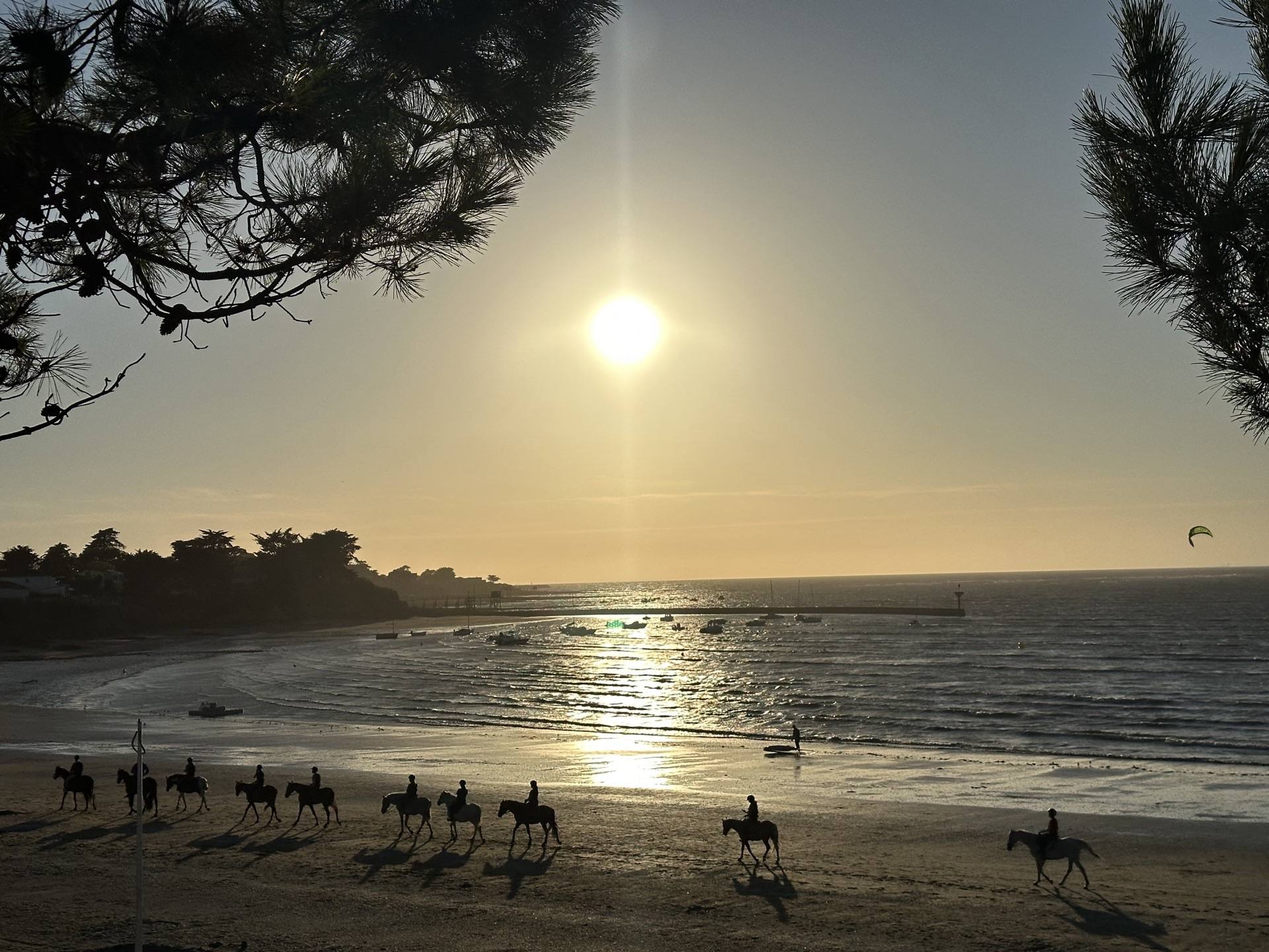 Cavaliers sur la plage face au soleil couchant